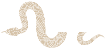 An illustration of a snake appears to be segmented into pieces, with a noticeable gap between the middle and tail sections. The snake is light brown against a transparent background.